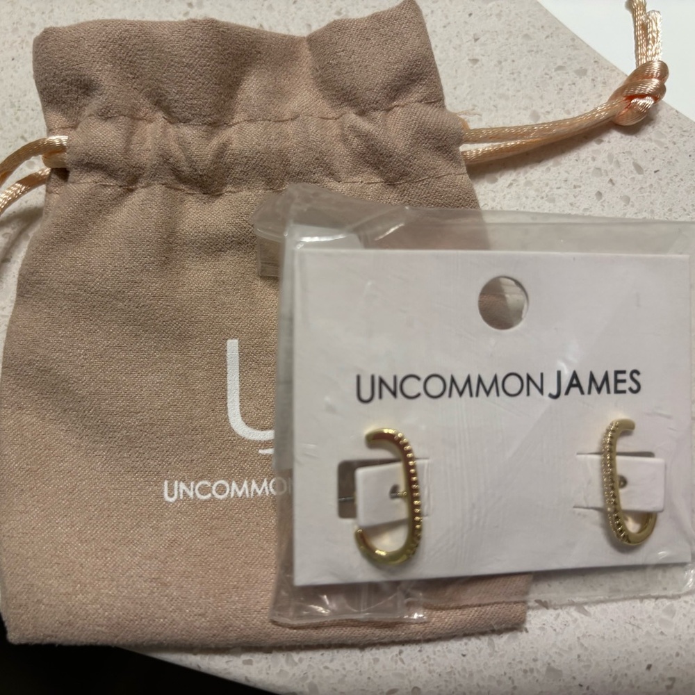 Uncommon James earrings in bag